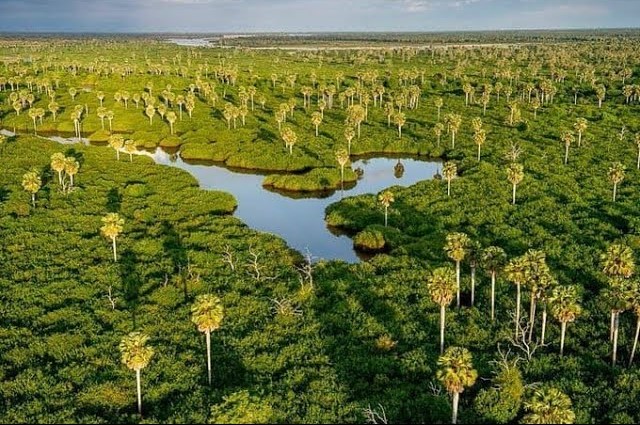 Elimu Inavyosaidia kuendeleza uhifadhi katika pori la akiba Kilombero